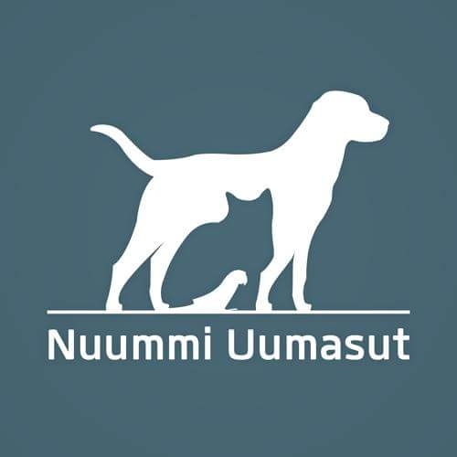Generalforsamling 2019