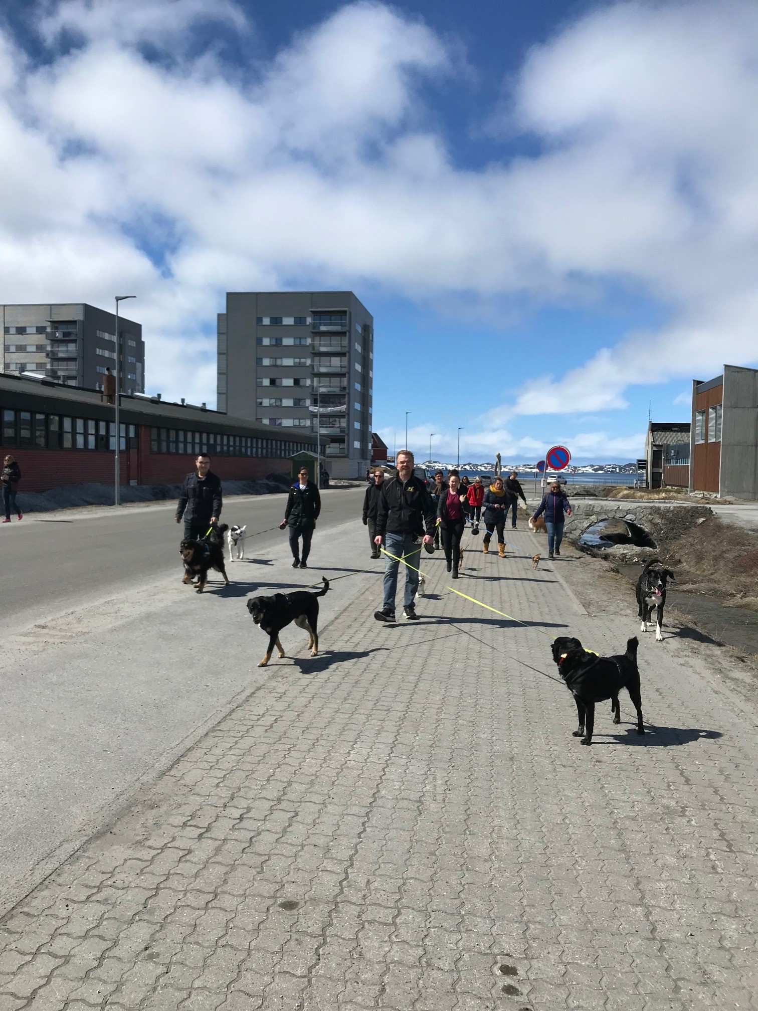 Gør maj sund med hundene